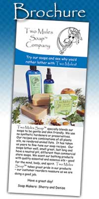 Handmade Soap and Skin Care Products Brochure